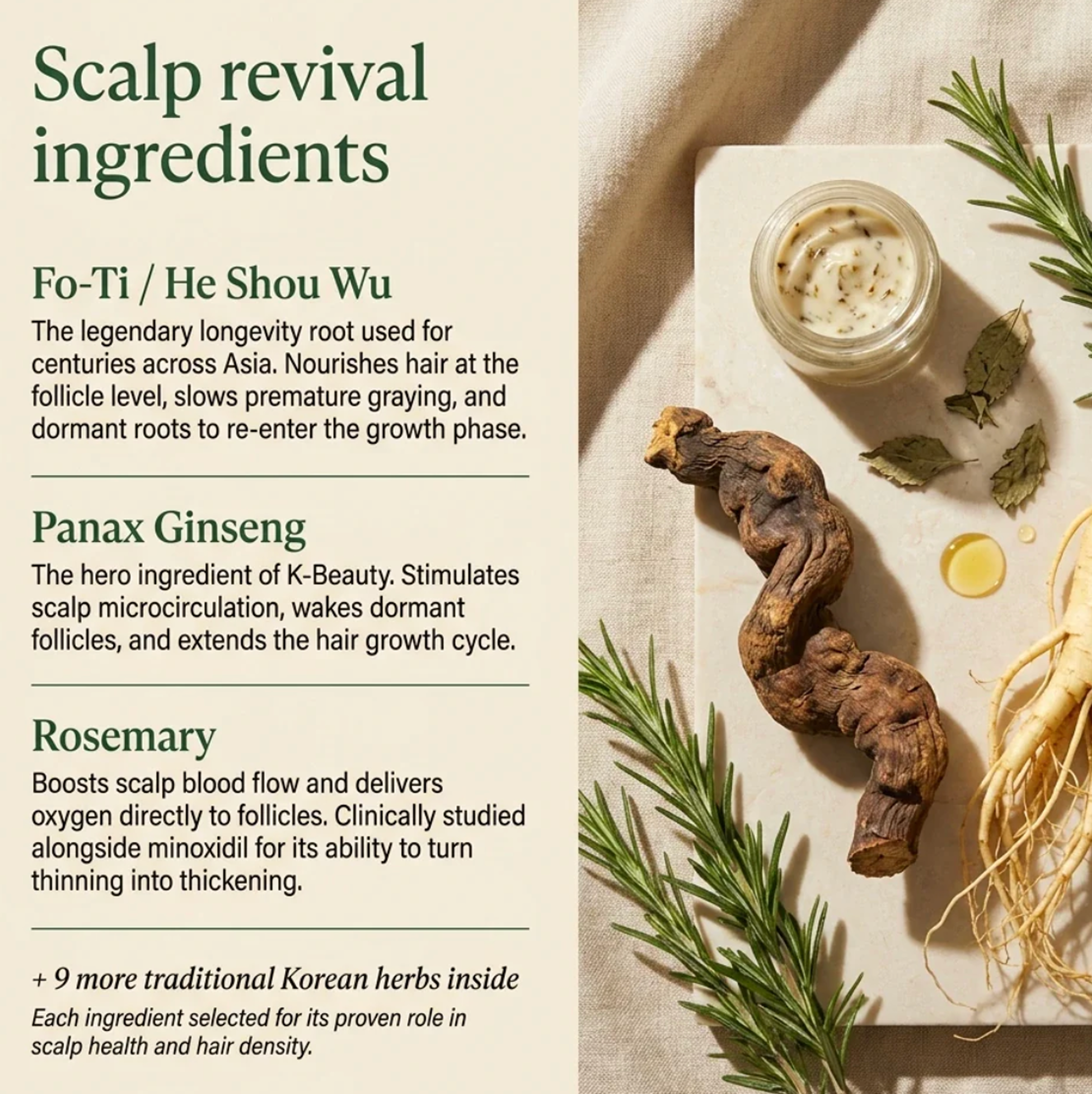Korean Scalp Revival Bar